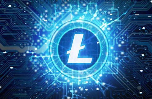 Litecoin Multisig Transaction